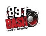 89.1 The Bash