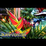 Aloha Joe's Ukulele Island