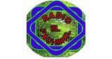 Radio Fachinal De Hoyon