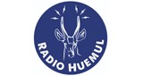 Radio Huemul