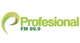 Radio Profesional