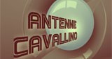 Antenne Cavallino 2