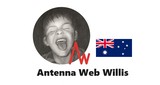 Antenna Web Willis