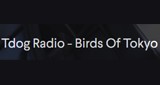 Tdog.Radio - Birds Of Tokyo