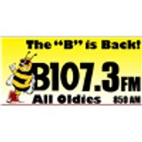 B107.3