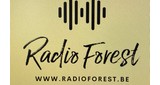 Radio Forest