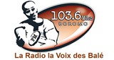 Radio la Voix des Balé