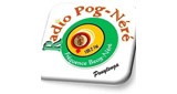 Radio Pognere