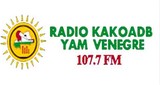 RADIO VENEGRE