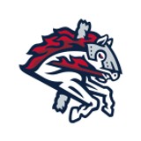 Binghamton Rumble Ponies Baseball Network