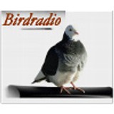 Bird Radio