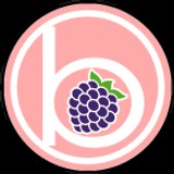 BlackBerry PhatFm Radio