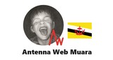 Antenna Web Muara