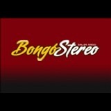 Bongostereo