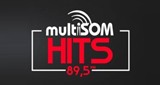 Multisom Hits