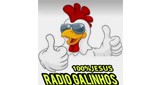 Radio Galinhos