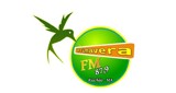 Rádio Primavera FM