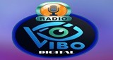 Radio Vibo Fm