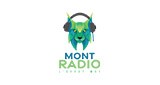 Mont Radio (École Mont-Saint-Sacrement)