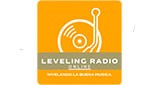 Leveling Radio Online