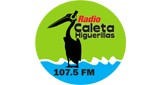 Radio Caleta Higuerillas