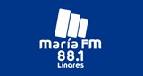 Radio Maria FM 88.1