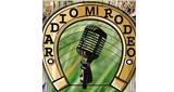 Radio Mi Rodeo