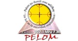 Radio Pelom