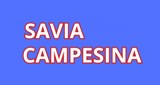 Radio Savia Campesina