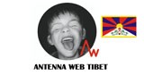 Antenna Web Tibet