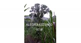 Alegria Estereo 97.9