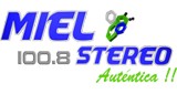 Miel Stereo