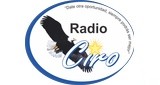 Radio Ciro