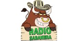 Radio Sabanera