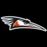 Delmarva Shorebirds Baseball Network