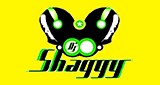 Dj Shaggy Venezuela