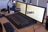 DMR1