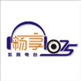 Dongguan Traffic & Music Radio