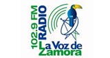 La Voz de Zamora