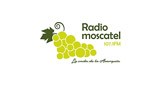 Radio Moscatel 107.1 FM Axarquía - España