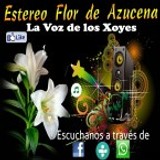 Estereo Flor de Azucena HD