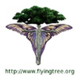 Flying Tree