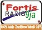 FortisRadio 9