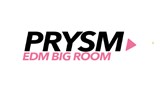 Prysm EDM - Big Room