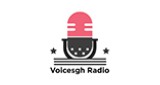 Voicesgh Radio