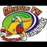 Grindulu FM