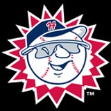 Hagerstown Suns Baseball Network