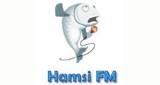 Hamsi FM