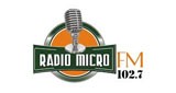 Radio Micro FM