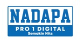 Nadapa Pro 1 Digital